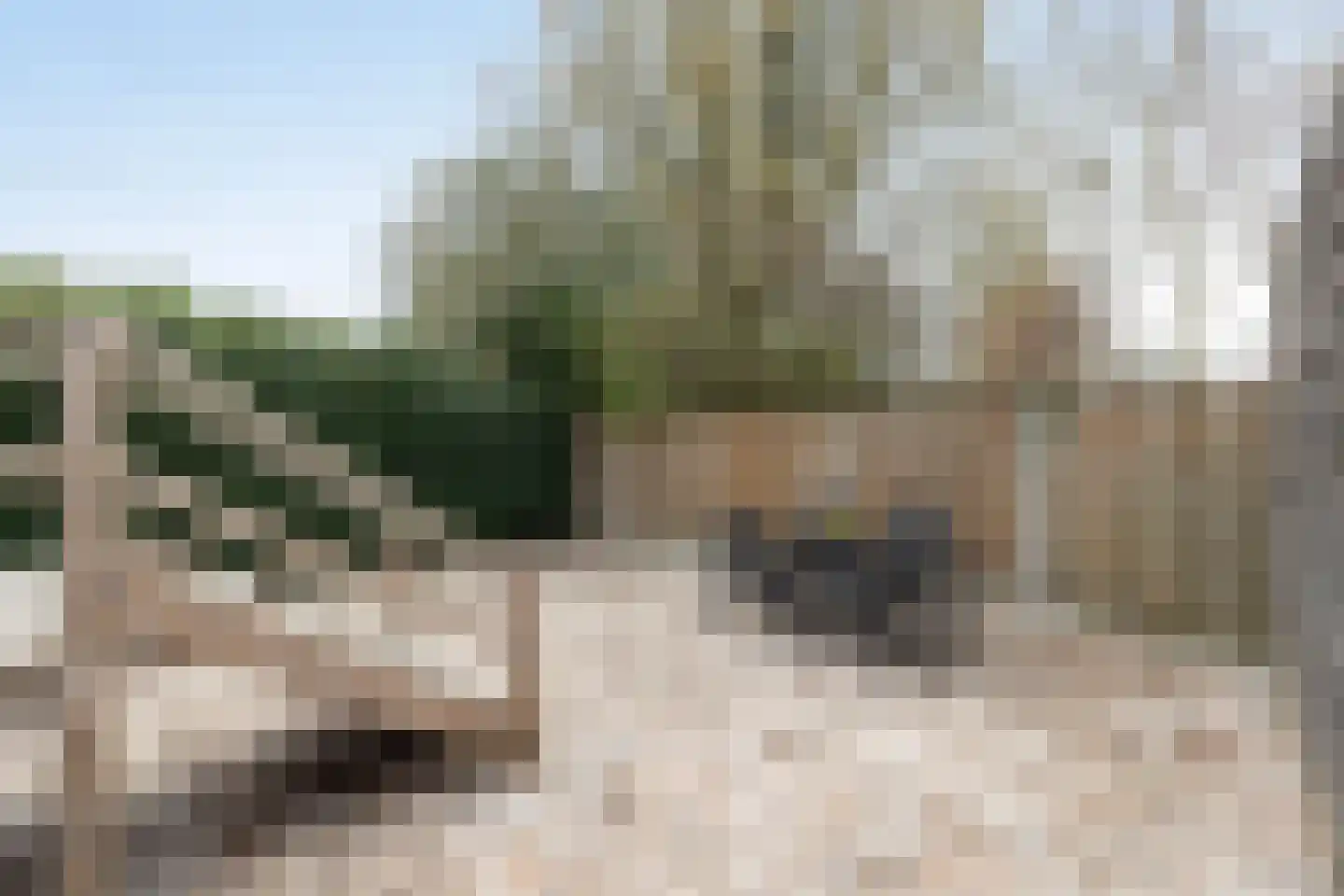Peckedam 1 Hengelo thumbnail 30