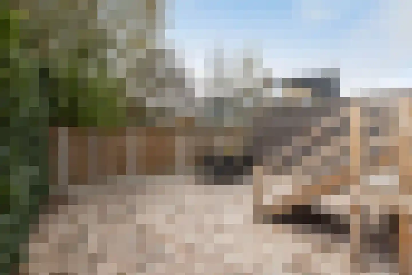 Peckedam 1 Hengelo thumbnail 31