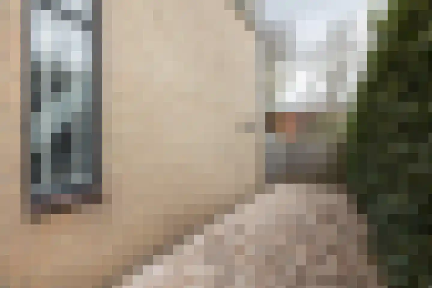 Peckedam 1 Hengelo thumbnail 32