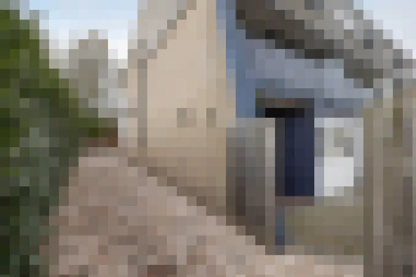 Peckedam 1 Hengelo thumbnail 33