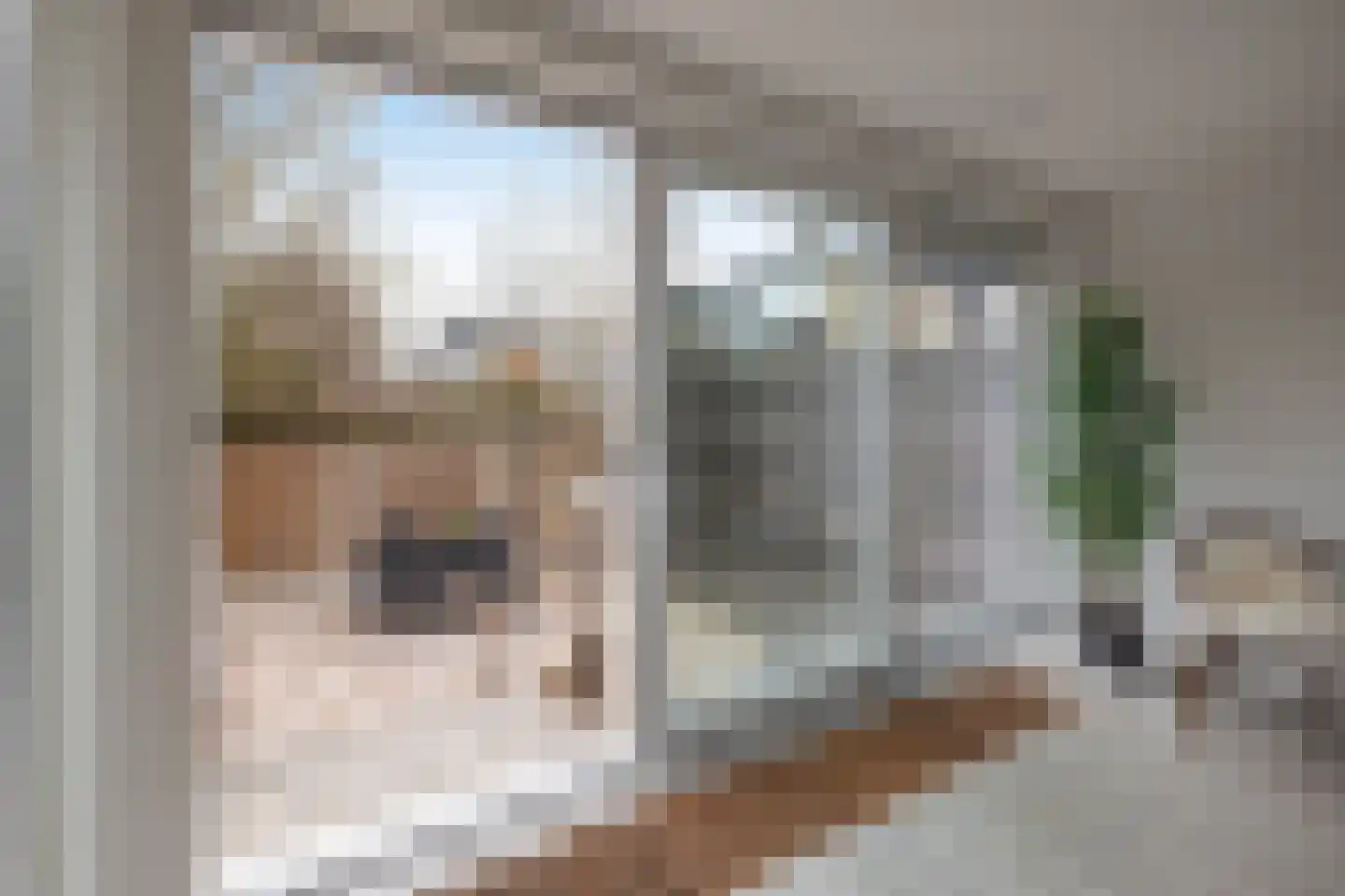 Peckedam 1 Hengelo thumbnail 5