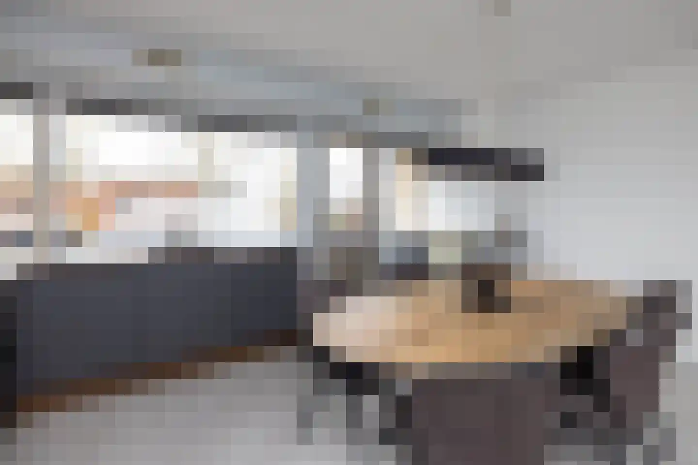 Peckedam 1 Hengelo thumbnail 9