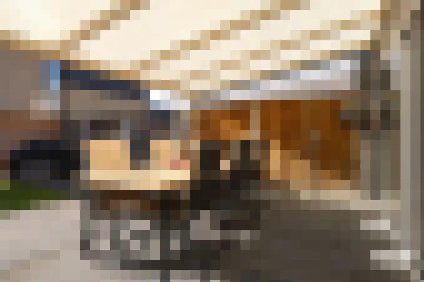 Peckedam 5 Hengelo thumbnail 36