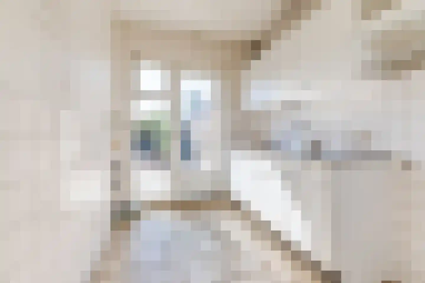 Peckiuslaan 15 Eindhoven thumbnail 11