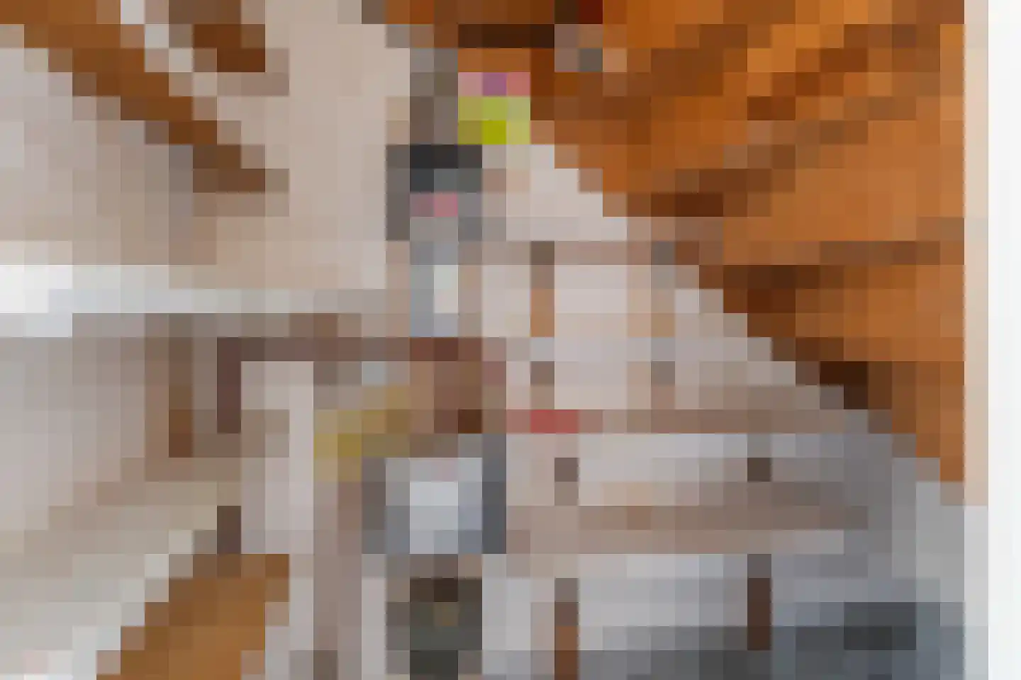 Peckiuslaan 15 Eindhoven thumbnail 14