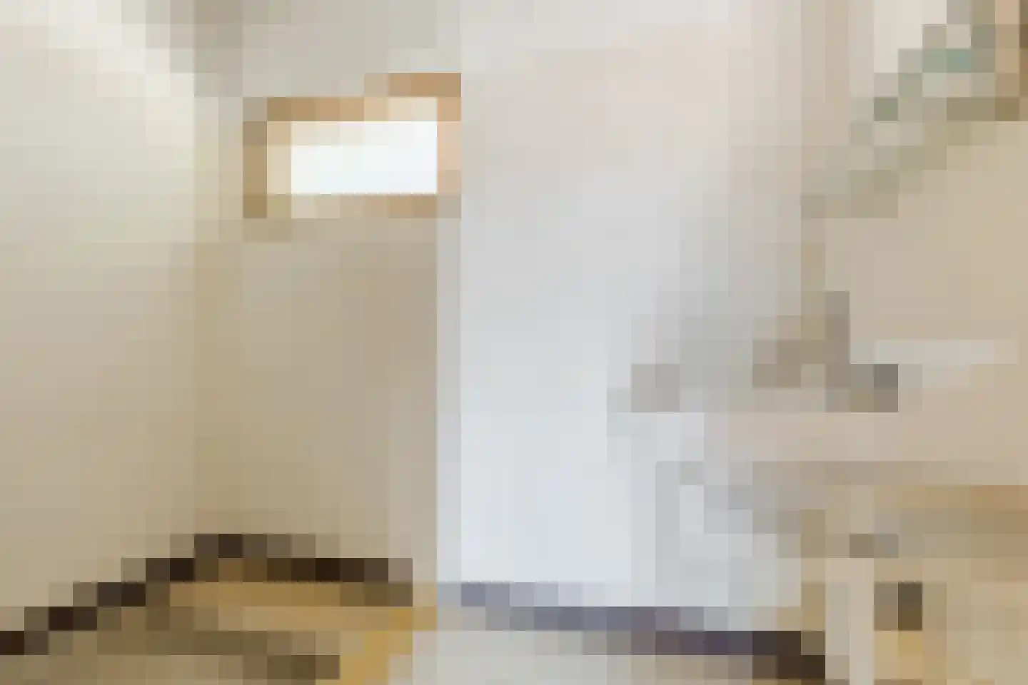 Peckiuslaan 15 Eindhoven thumbnail 26