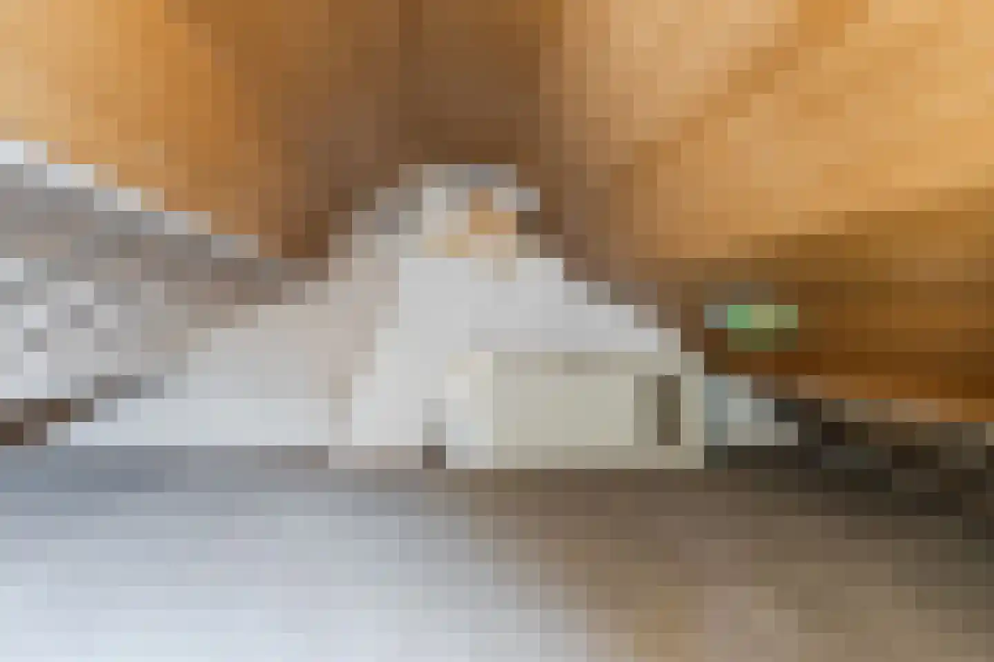 Peckiuslaan 15 Eindhoven thumbnail 28