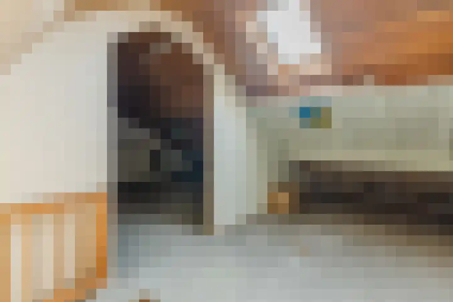 Peckiuslaan 15 Eindhoven thumbnail 29