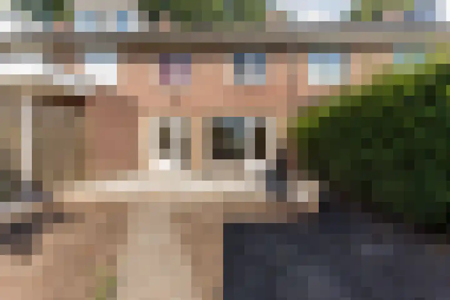 Peckiuslaan 15 Eindhoven thumbnail 34