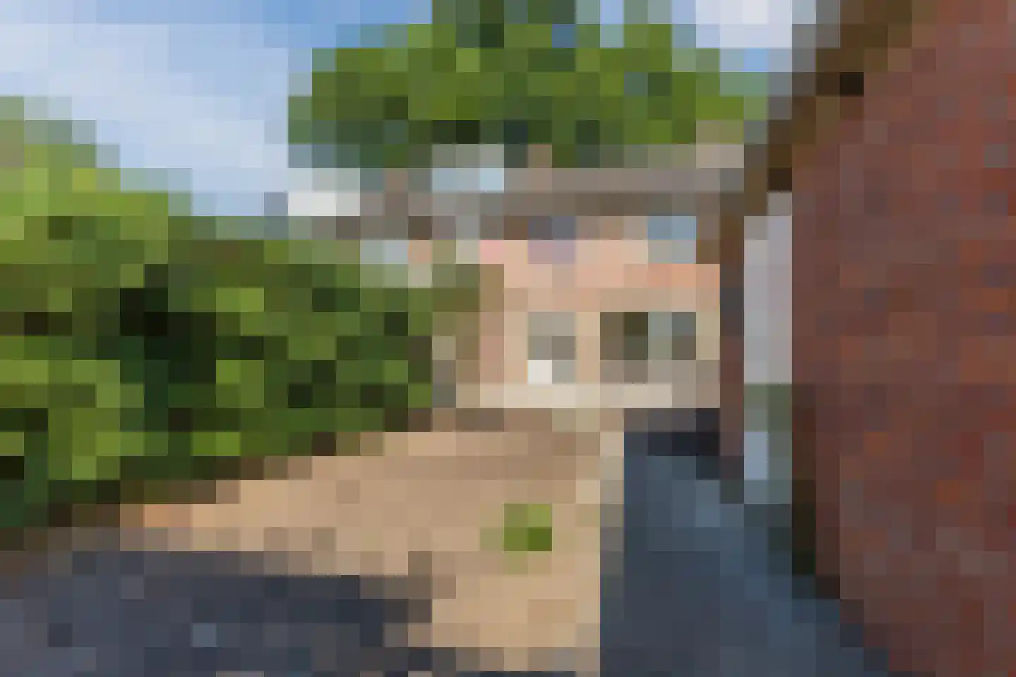 Peckiuslaan 15 Eindhoven thumbnail 35