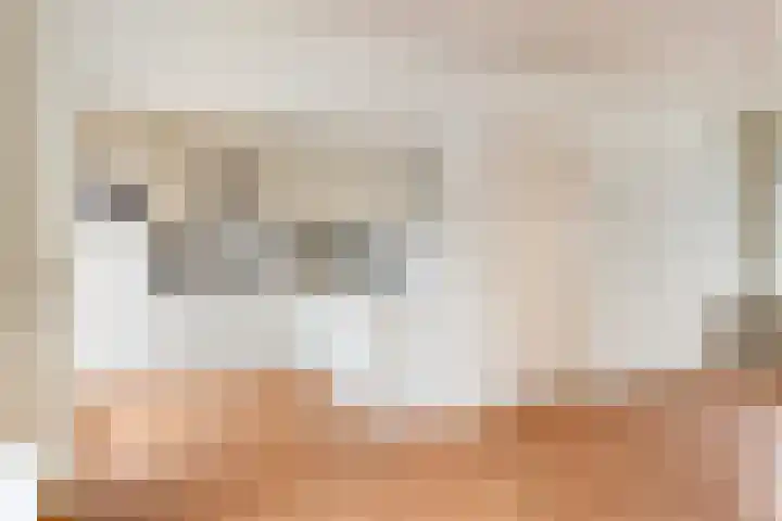 Peckiuslaan 23 Eindhoven thumbnail 10