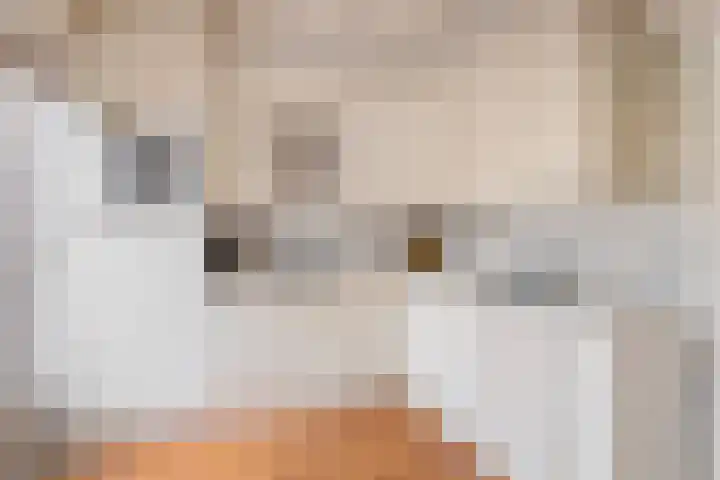 Peckiuslaan 23 Eindhoven thumbnail 12