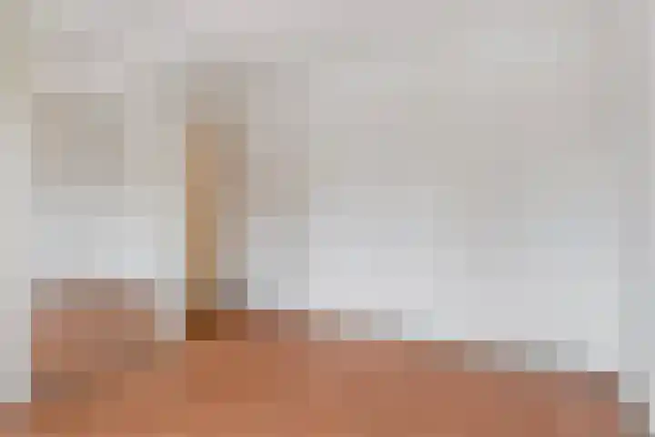 Peckiuslaan 23 Eindhoven thumbnail 19