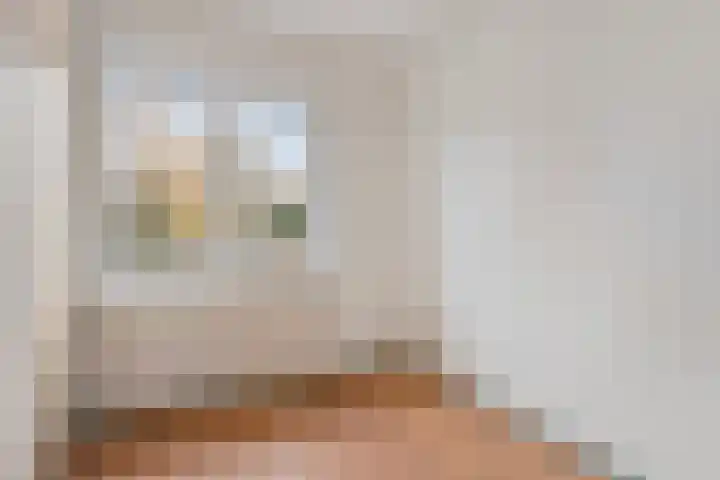 Peckiuslaan 23 Eindhoven thumbnail 20