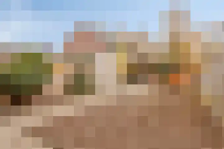 Peckiuslaan 23 Eindhoven thumbnail 24