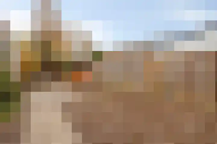 Peckiuslaan 23 Eindhoven thumbnail 25