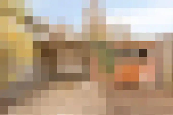 Peckiuslaan 23 Eindhoven thumbnail 26