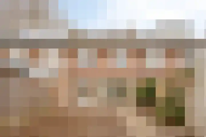 Peckiuslaan 23 Eindhoven thumbnail 27