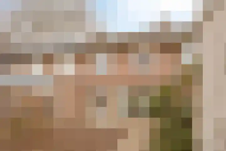 Peckiuslaan 23 Eindhoven thumbnail 28