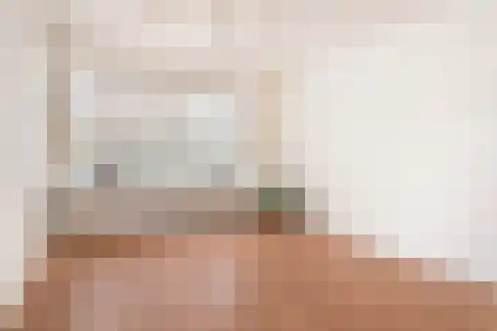 Peckiuslaan 23 Eindhoven thumbnail 6