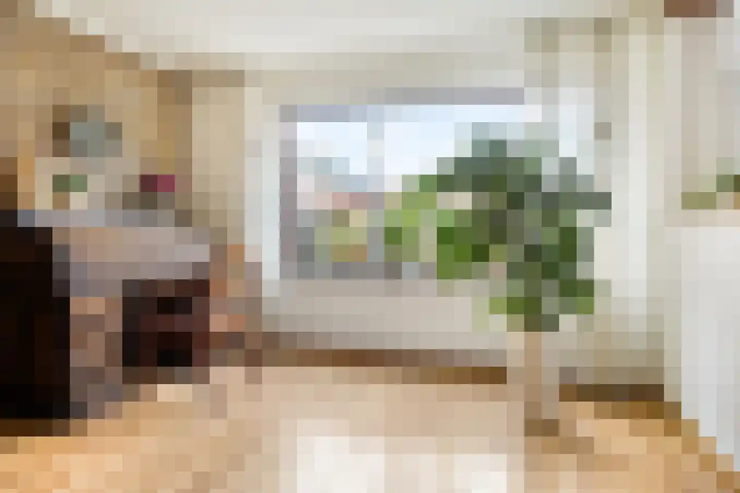 Peddemors 23 Haaksbergen thumbnail 10