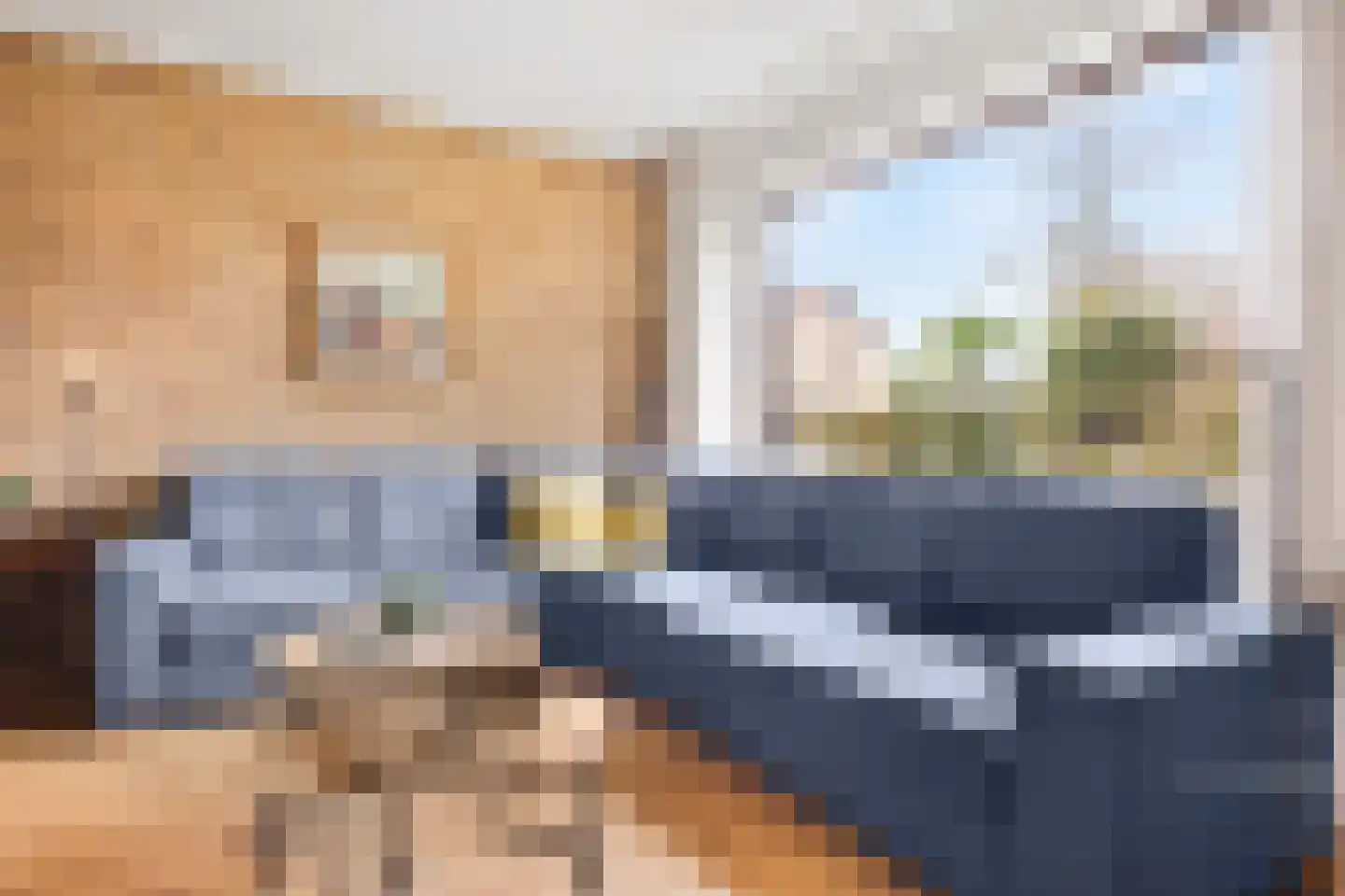Peddemors 23 Haaksbergen thumbnail 16