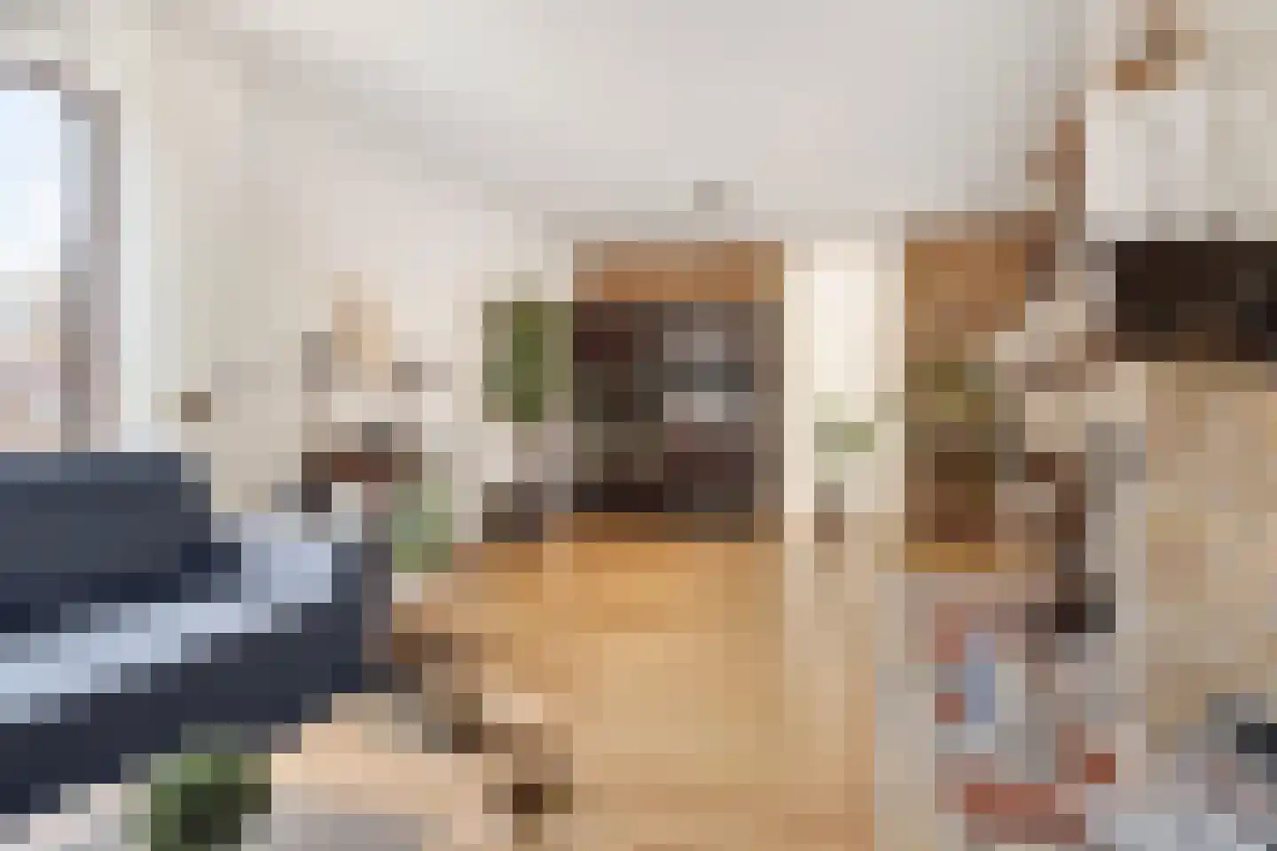 Peddemors 23 Haaksbergen thumbnail 17