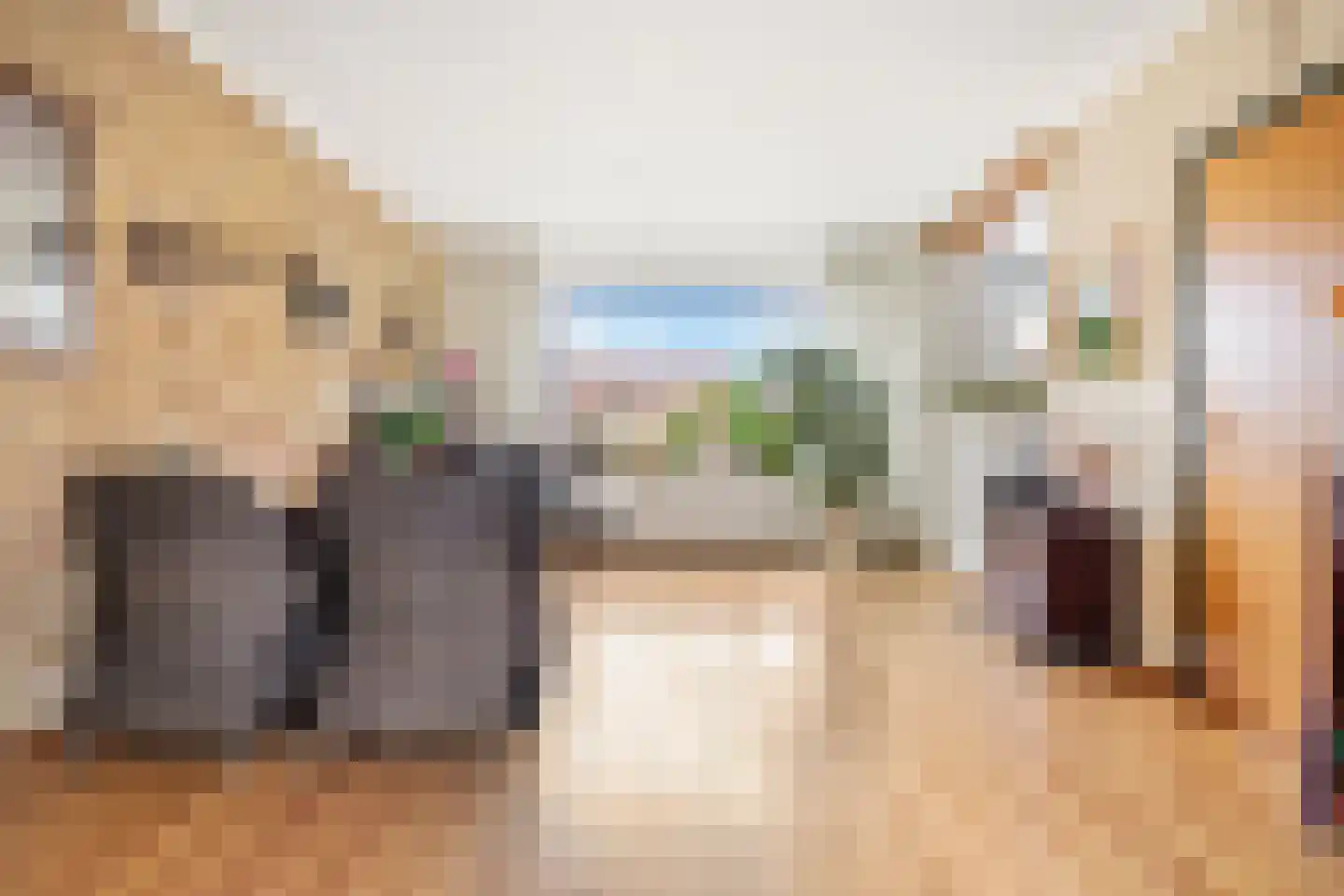 Peddemors 23 Haaksbergen thumbnail 18