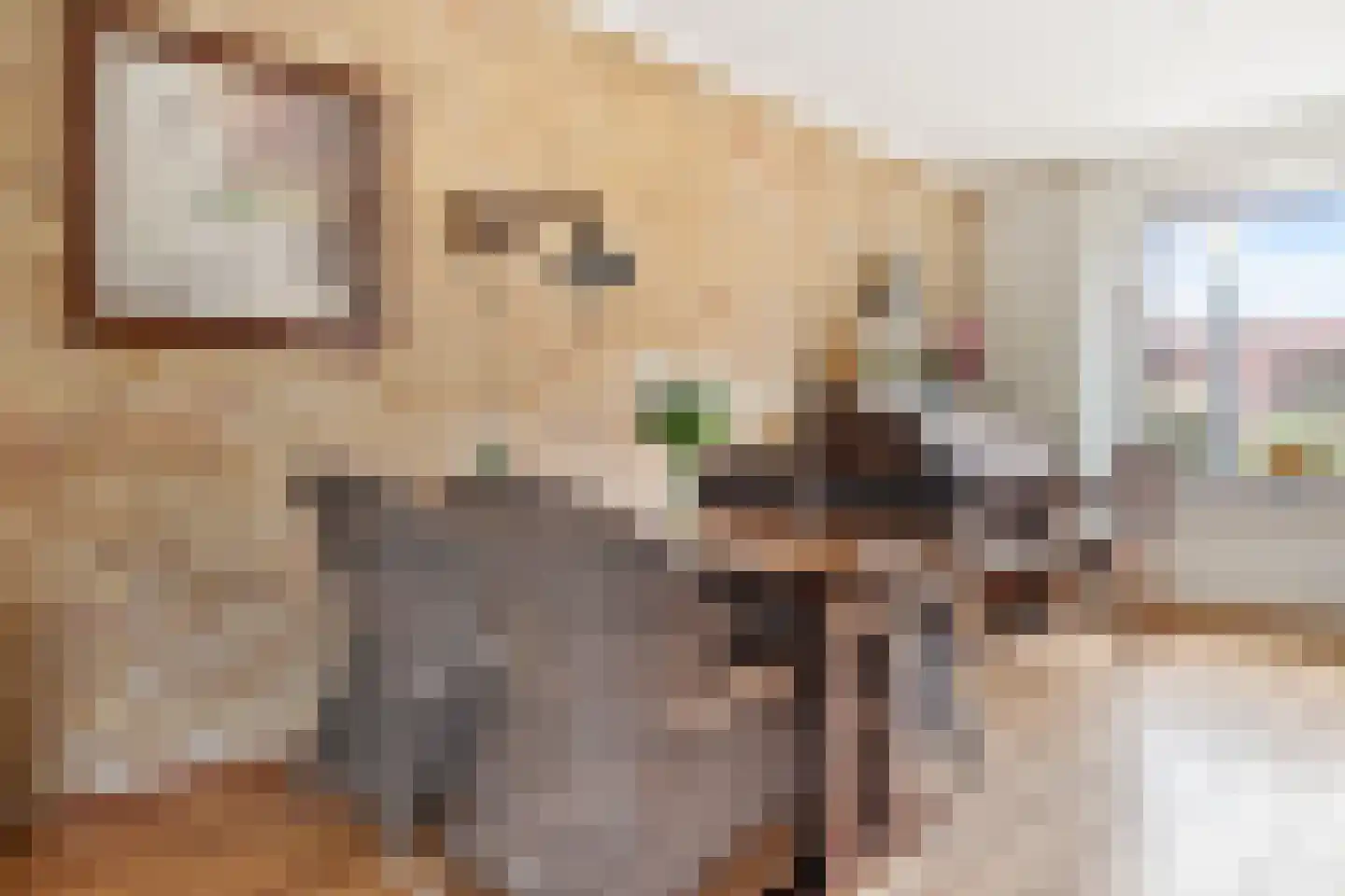 Peddemors 23 Haaksbergen thumbnail 19