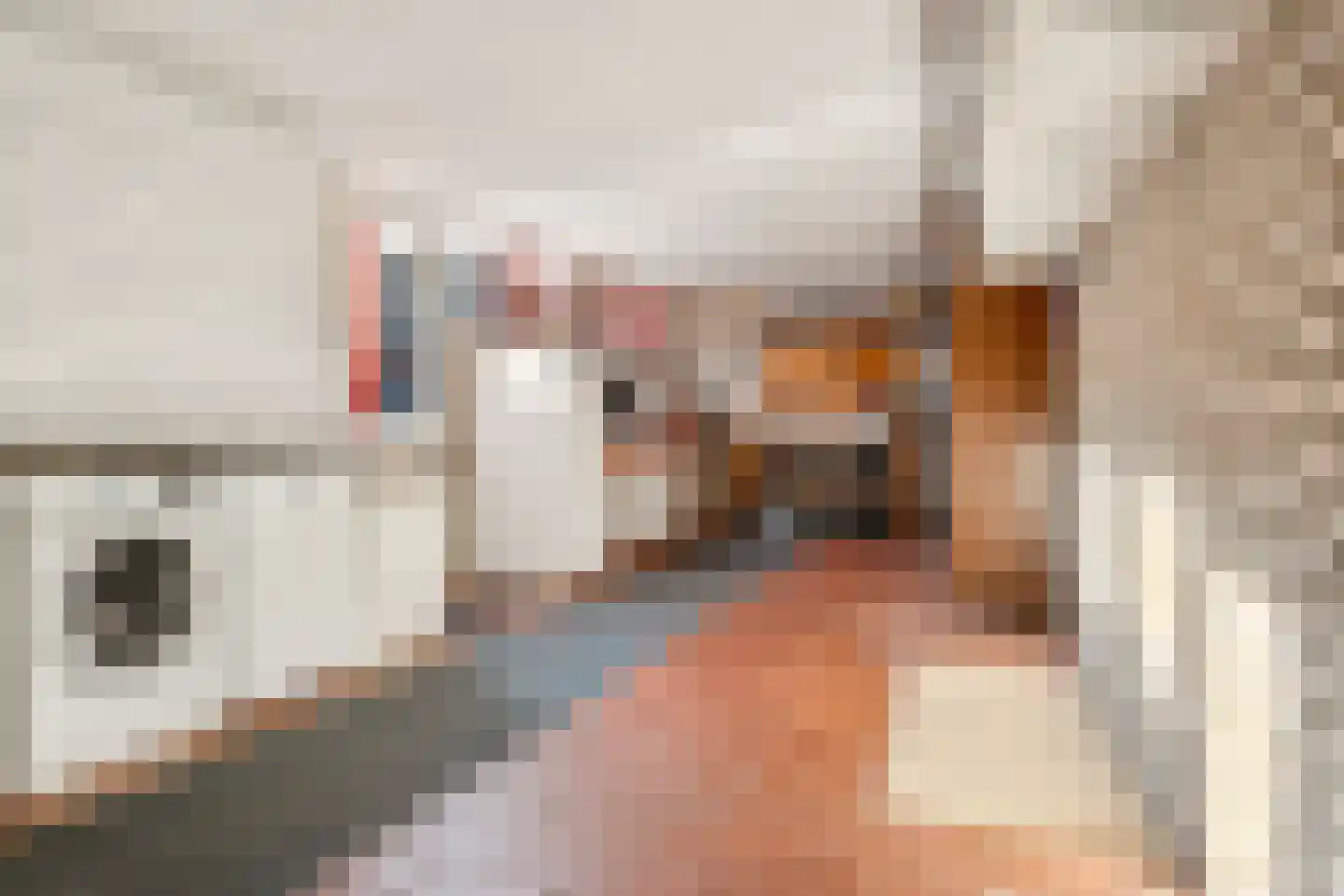 Peddemors 23 Haaksbergen thumbnail 29