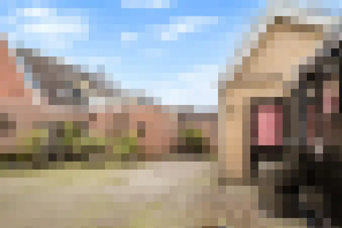Peddemors 23 Haaksbergen thumbnail 49