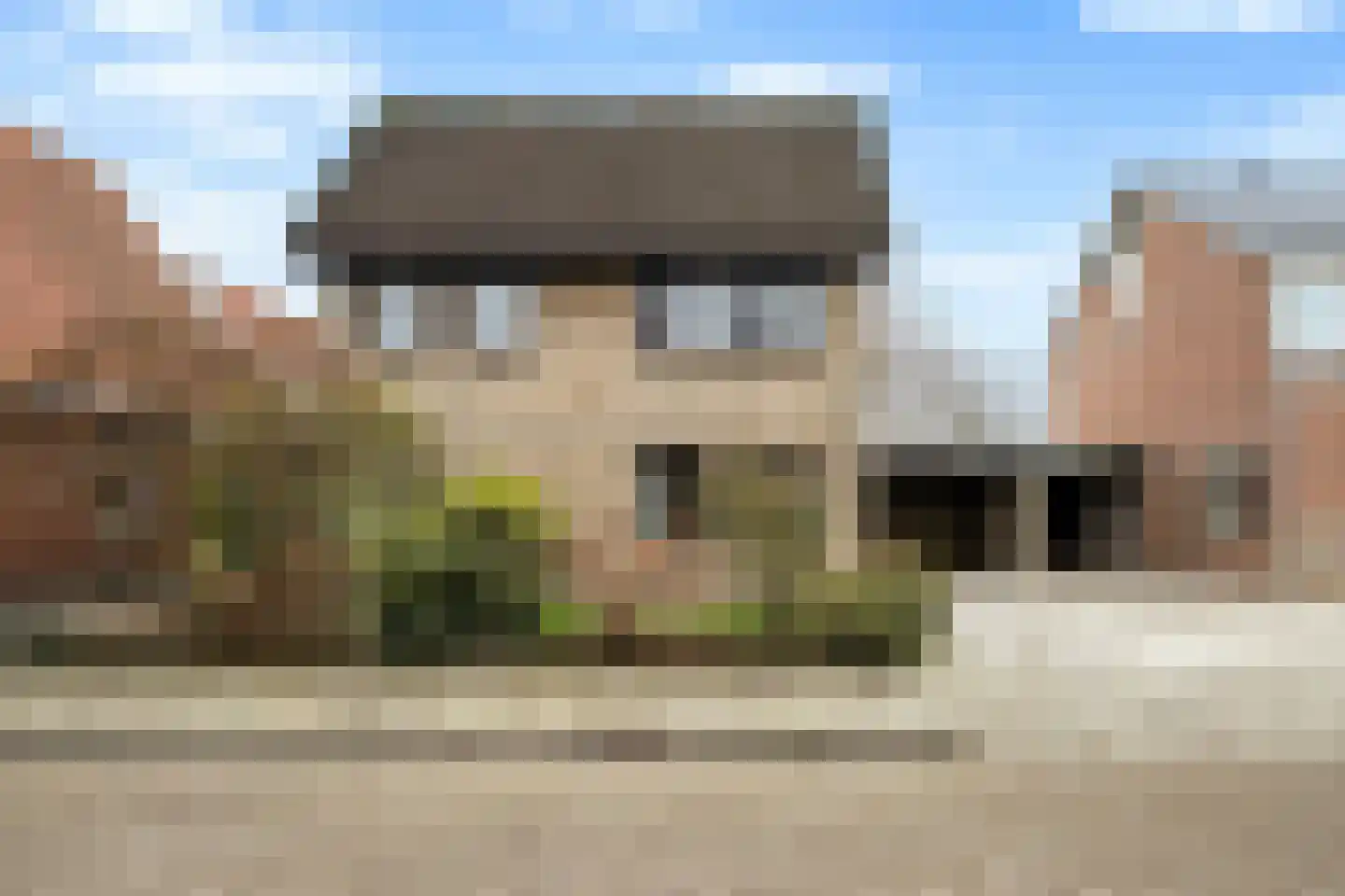 Peddemors 23 Haaksbergen thumbnail 5