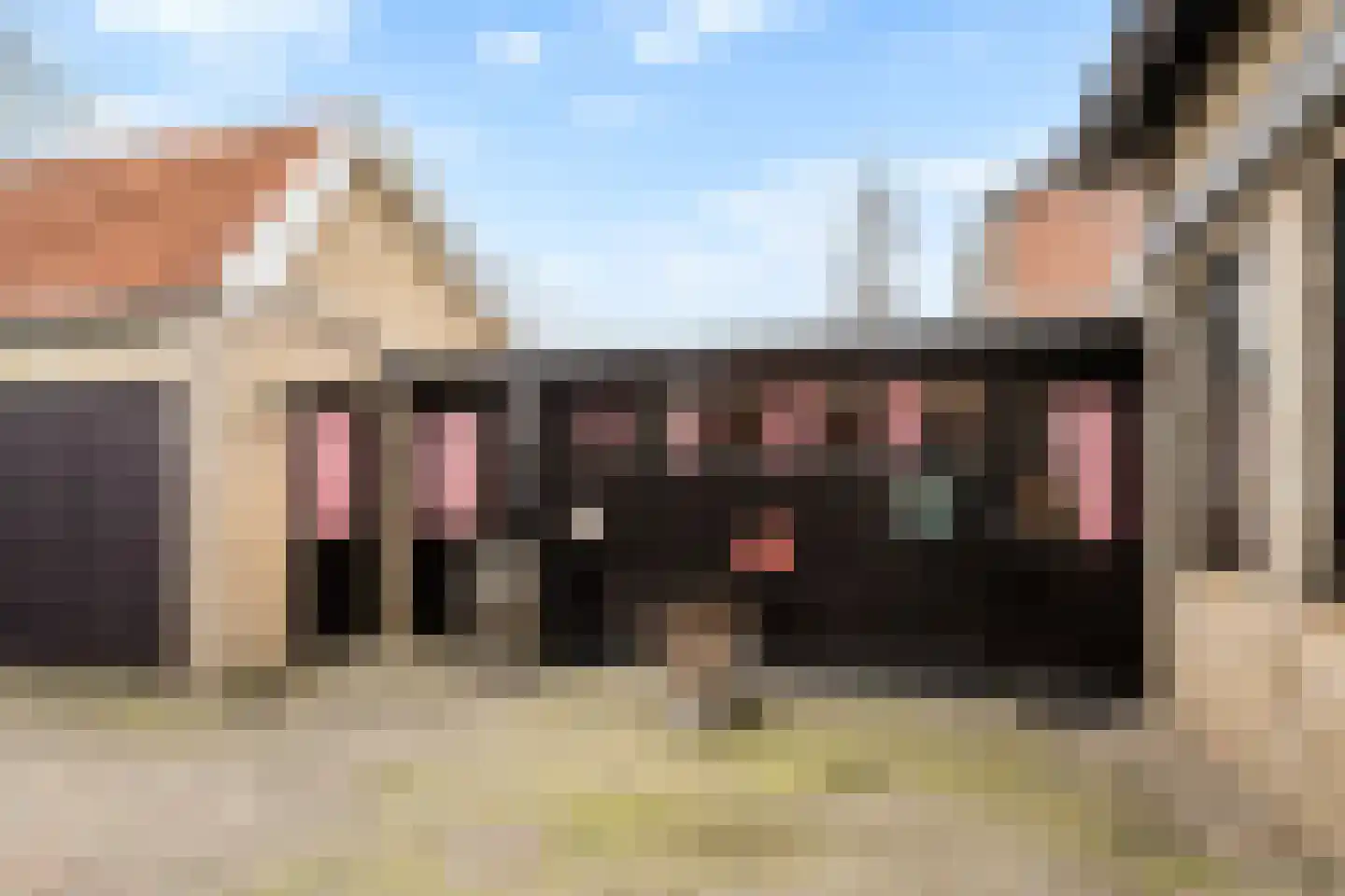 Peddemors 23 Haaksbergen thumbnail 53