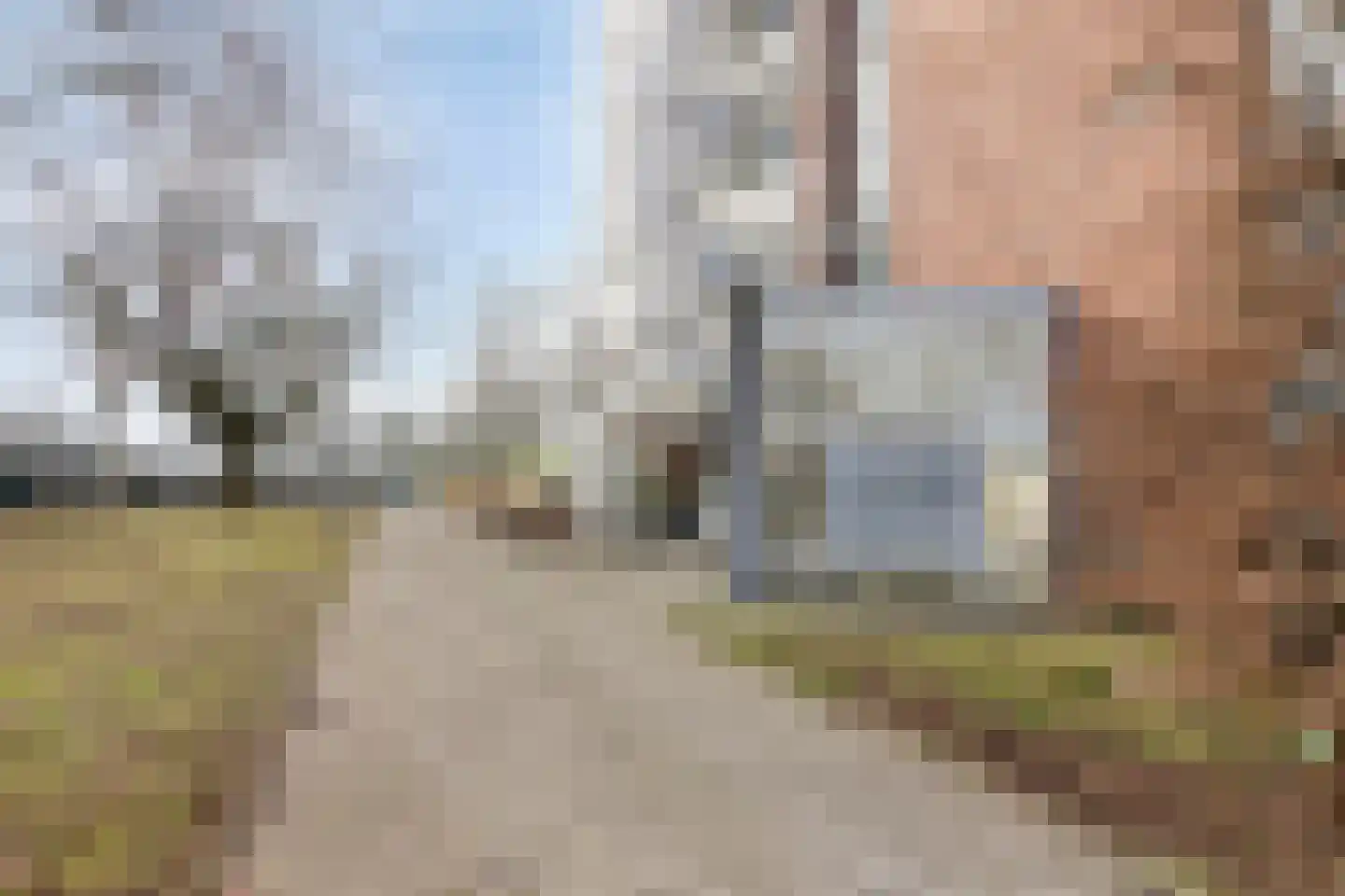 Pedro Cabralstraat 33 's-Hertogenbosch thumbnail 24