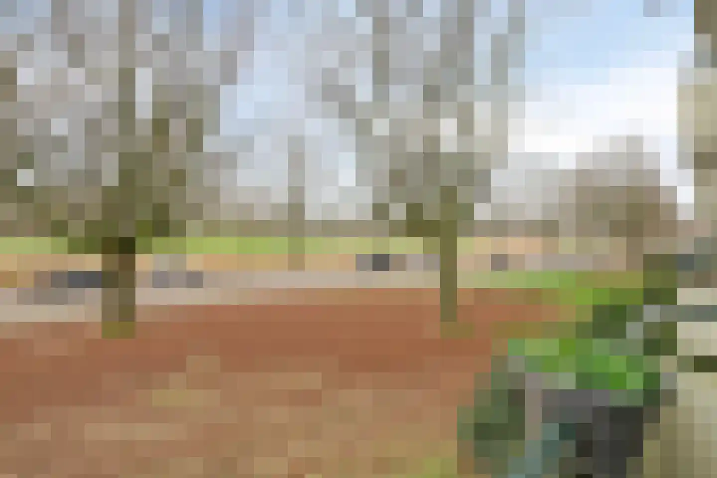 Pedro Cabralstraat 33 's-Hertogenbosch thumbnail 29
