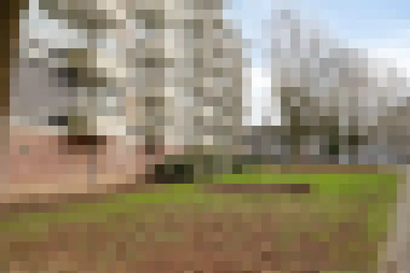 Pedro Cabralstraat 33 's-Hertogenbosch thumbnail 31