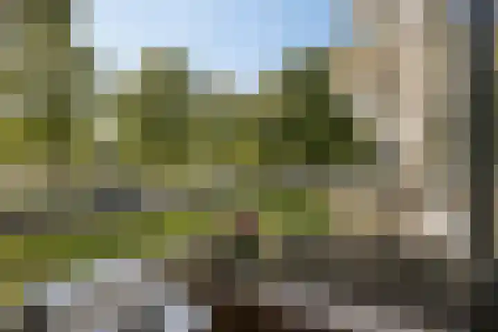 Pedro Cabralstraat 37 's-Hertogenbosch thumbnail 24