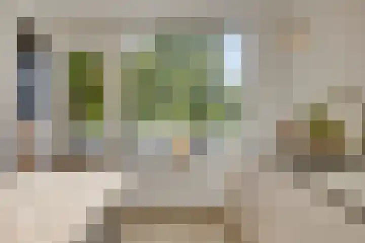 Pedro Cabralstraat 37 's-Hertogenbosch thumbnail 30
