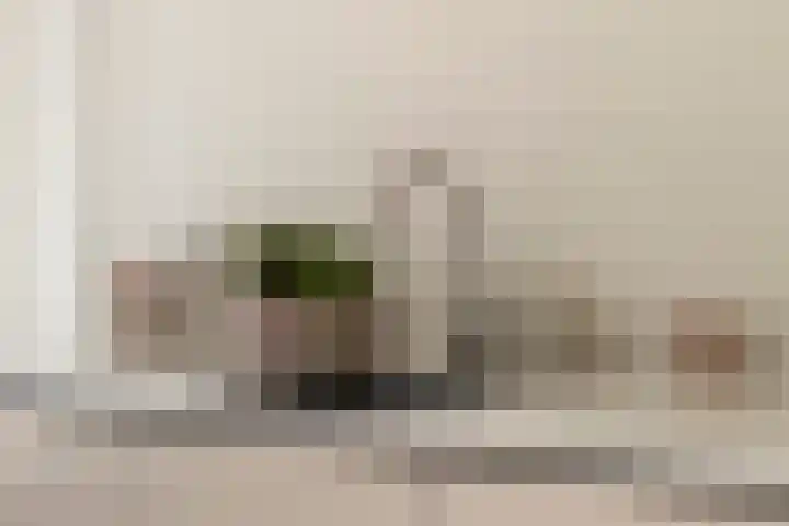 Pedro Cabralstraat 37 's-Hertogenbosch thumbnail 32
