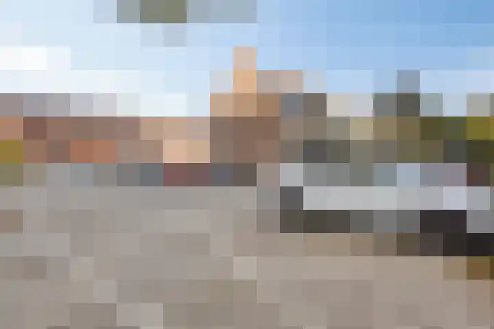 Pedro Cabralstraat 37 's-Hertogenbosch thumbnail 43