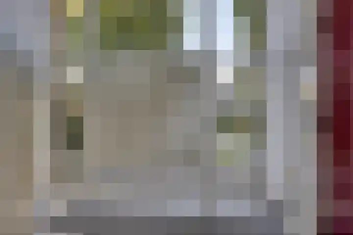 Pedro Cabralstraat 37 's-Hertogenbosch thumbnail 5