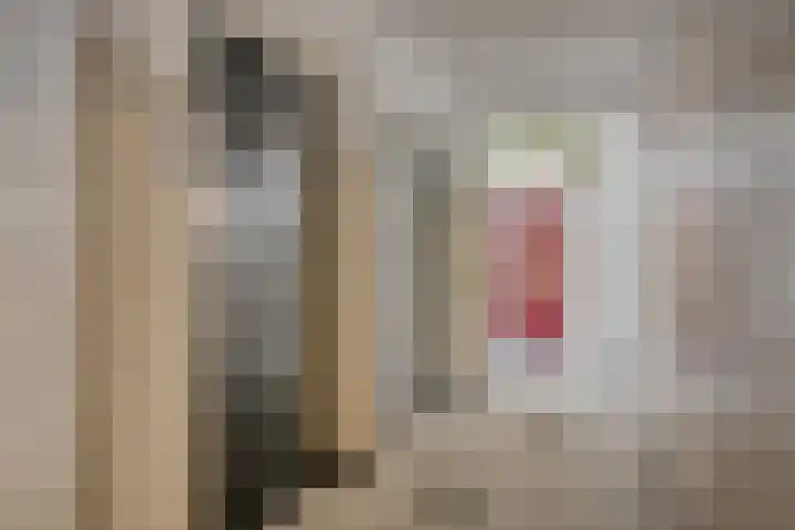 Pedro Cabralstraat 37 's-Hertogenbosch thumbnail 6