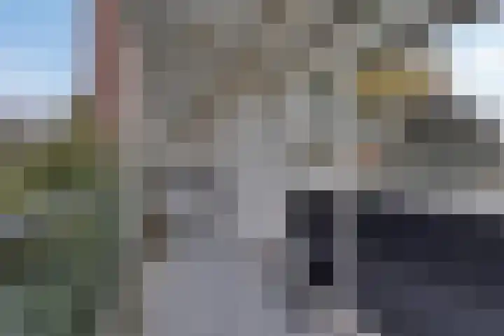 Pedro Cabralstraat 37 's-Hertogenbosch thumbnail 7