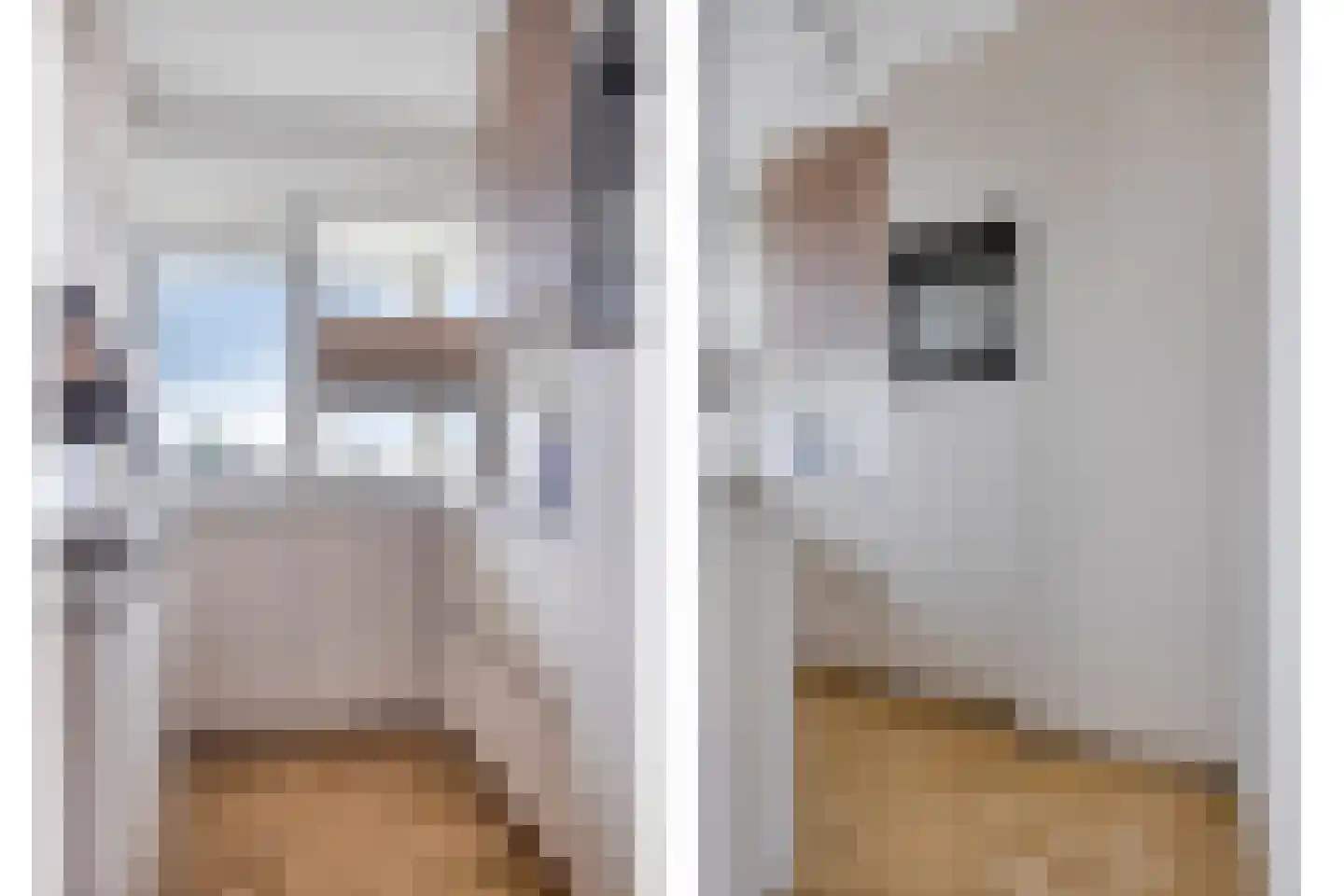 Pedro Cabralstraat 89 's-Hertogenbosch thumbnail 16