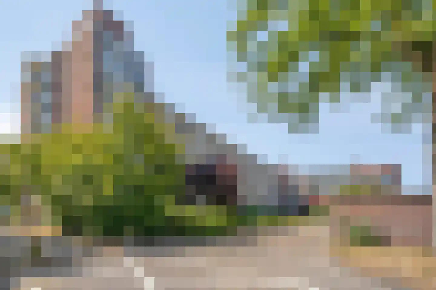 Pedro Cabralstraat 89 's-Hertogenbosch thumbnail 17