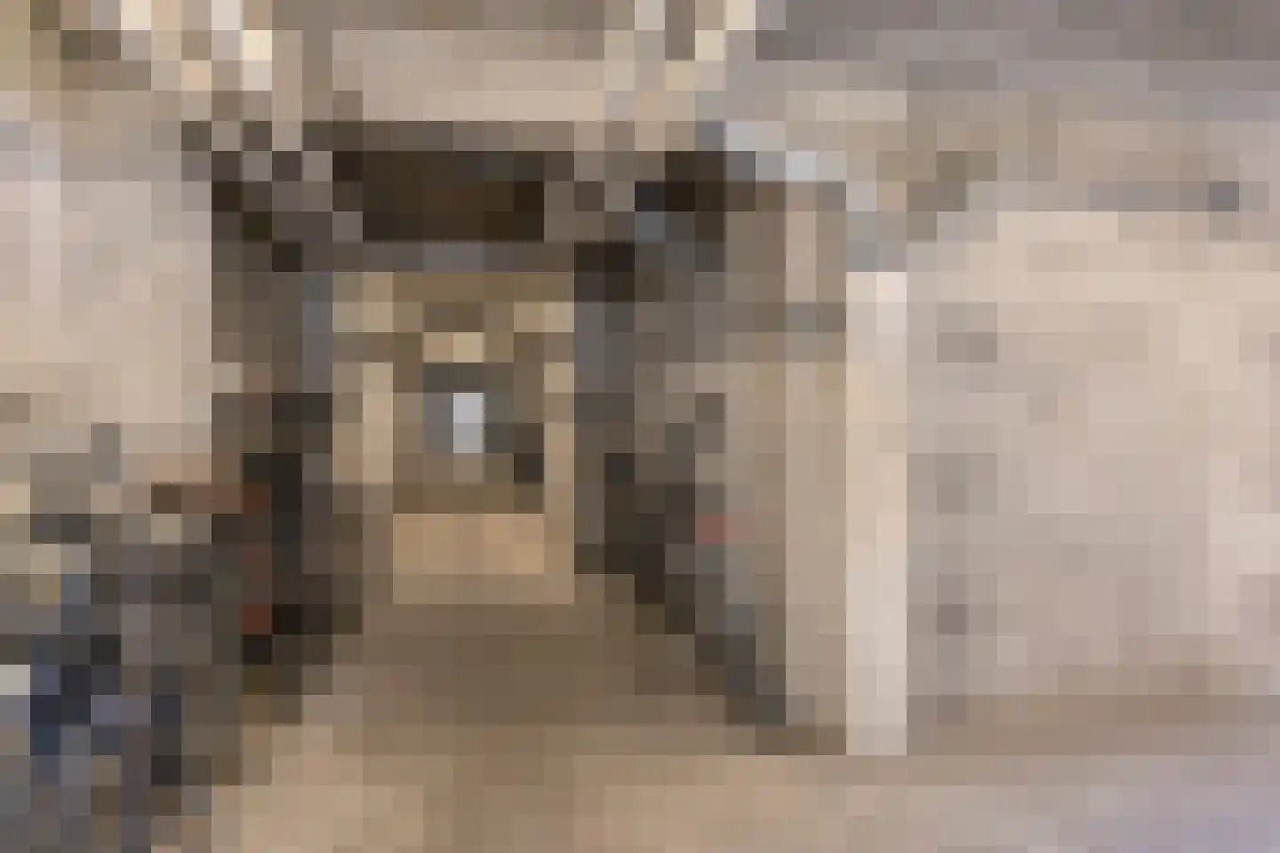 Pedro Cabralstraat 89 's-Hertogenbosch thumbnail 21
