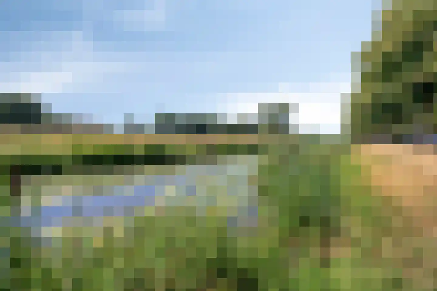 Pedro Cabralstraat 89 's-Hertogenbosch thumbnail 23