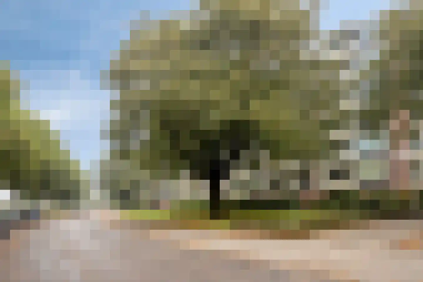 Pedro Cabralstraat 89 's-Hertogenbosch thumbnail 33