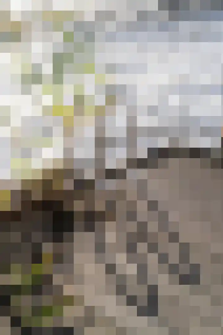 Pedro de Medinalaan 194 Amsterdam thumbnail 41