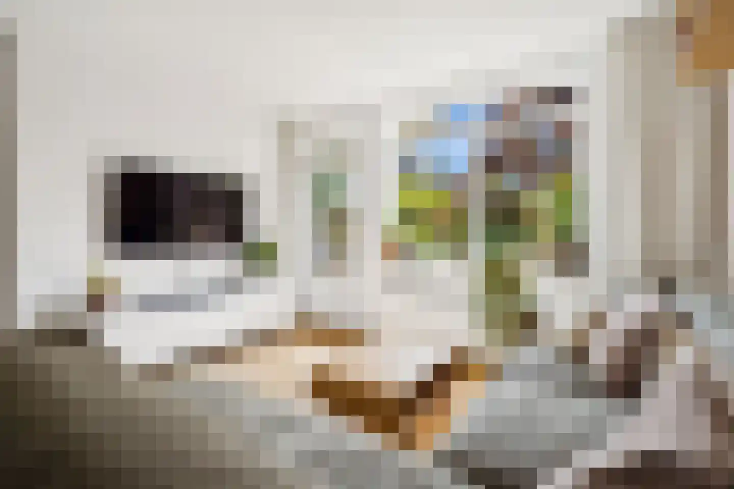 Pedro Luis Briónstraat 53 Utrecht thumbnail 12